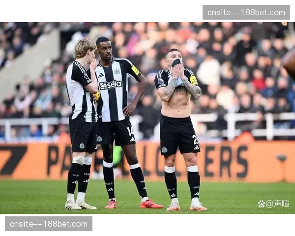 纽卡斯尔锋线双星集体迷失 埃兰加26场0球维萨12场1球